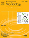 CURRENT OPINION IN MICROBIOLOGY雜志封面